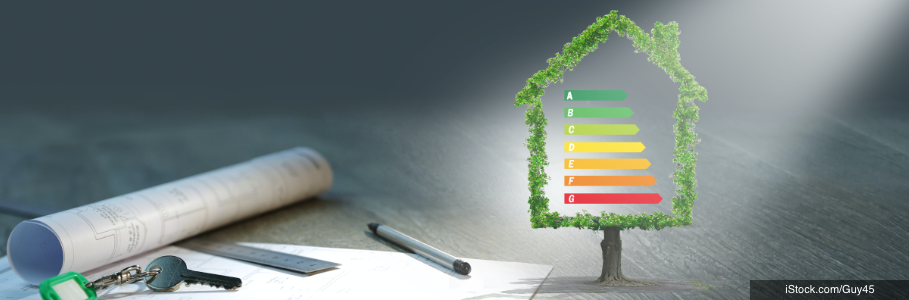 Energy Efficient Housing